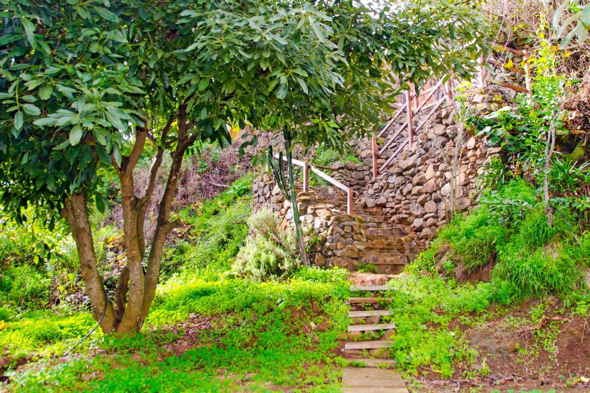 Zenda De Fontanales Moya (Gran Canaria) Exterior foto